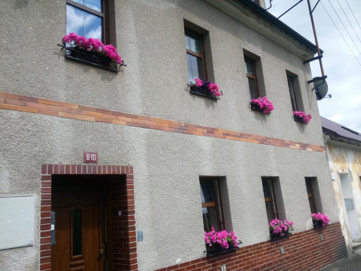 Apartmán Albreit 2 Jáchymov Kültér fotó